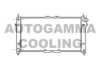 AUTOGAMMA 102140 Radiator, engine cooling